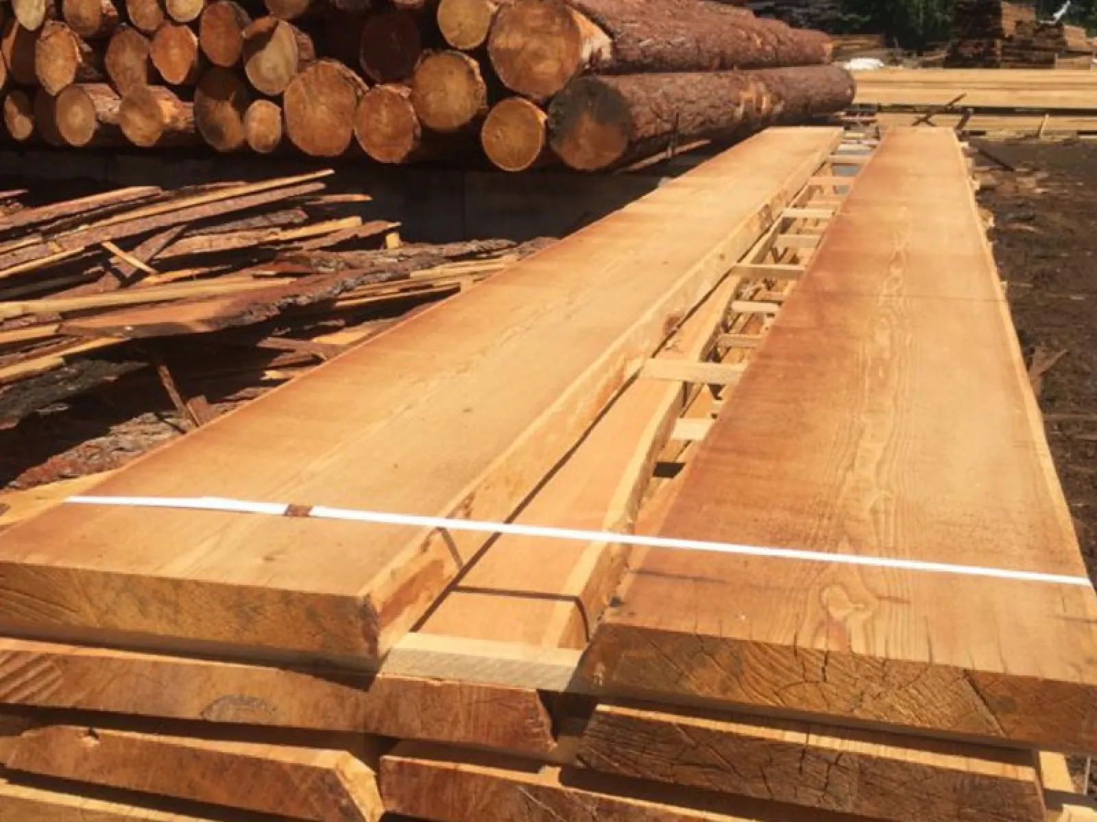 Доска необрезная из лиственницы 50 мм сорт 0-1