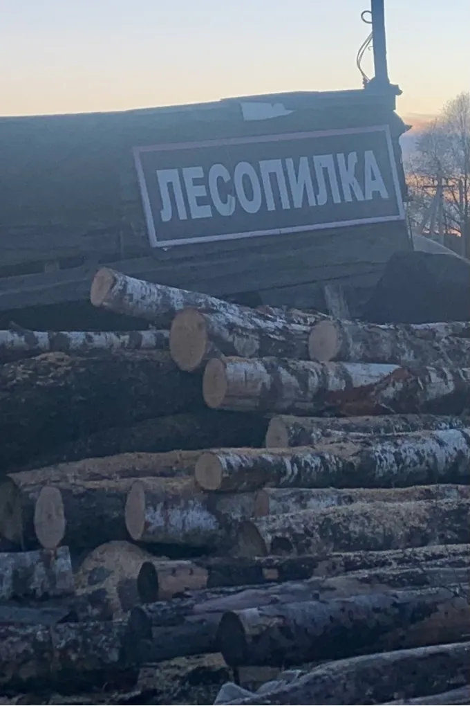 Пиломатериалы-2026: циничный прогноз для тех, кто ещё надеется на дешёвую доску