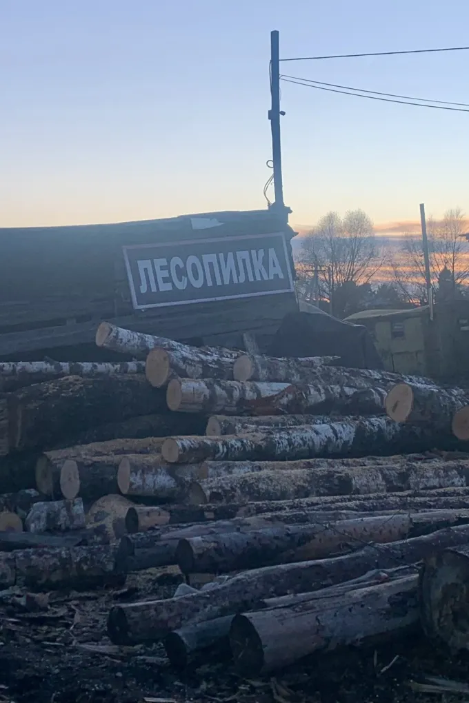 Пиломатериалы-2026: циничный прогноз для тех, кто ещё надеется на дешёвую доску