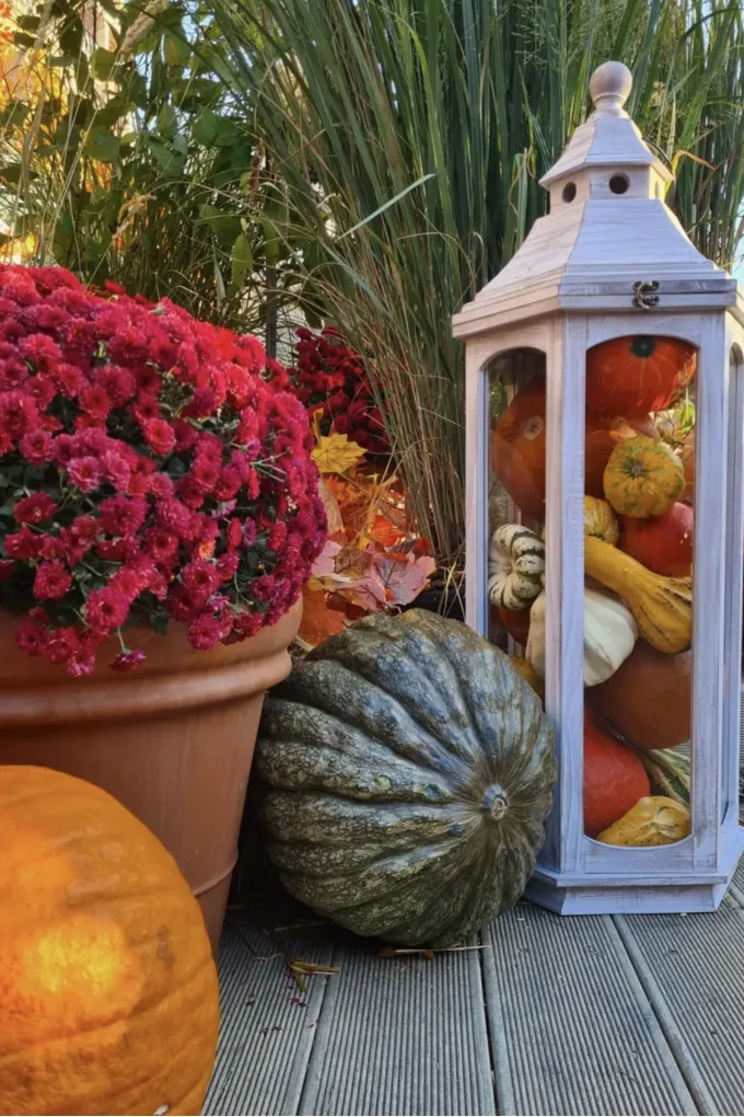 Надёжный фундамент праздника: почему город накрывает камень деревом