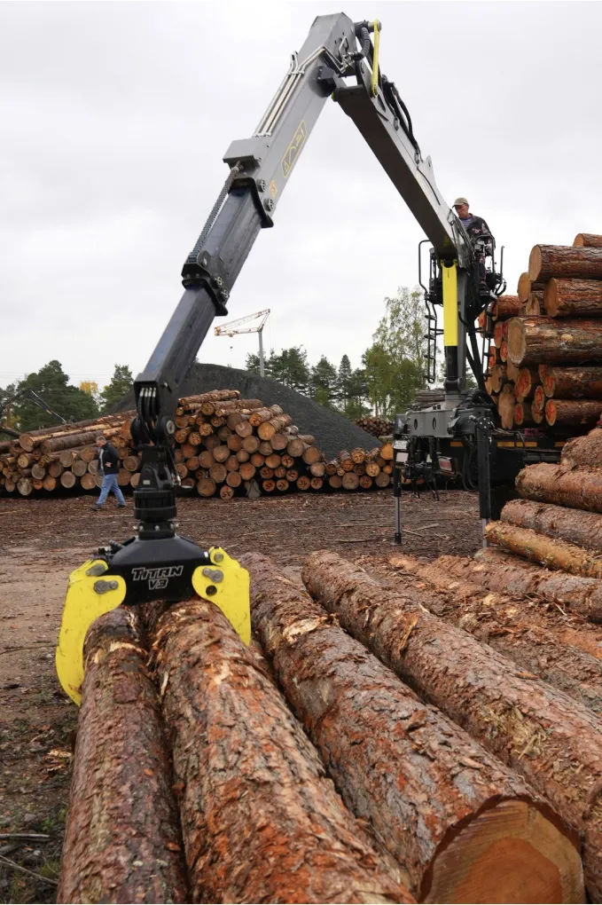 Why Unannounced Entry Is Not Allowed at Timber Expert