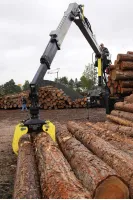 Добро пожаловать, или посторонним вход воспрещён. Правила посещения деревообрабатывающего предариятия